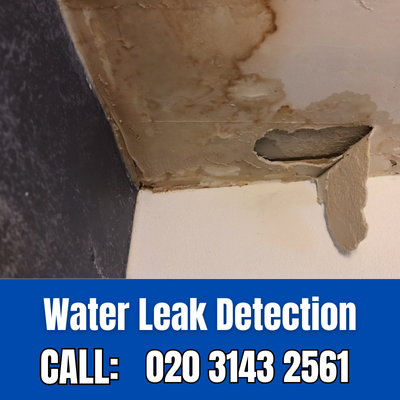 Expert Water Leak Detection Services in Clerkenwell | Clerkenwell Leak Detection